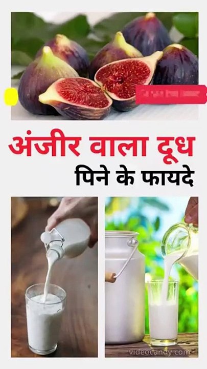 Benefits of Drinking Anjeer Milk