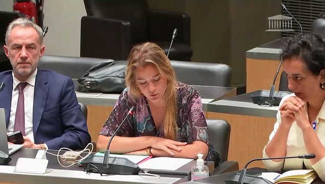Commission des affaires culturelles : Mme Sandrine Rousseau et M. Erwan Balanant ; Prévention des violences dans les établissements scolaires - Mercredi 7 mai 2025