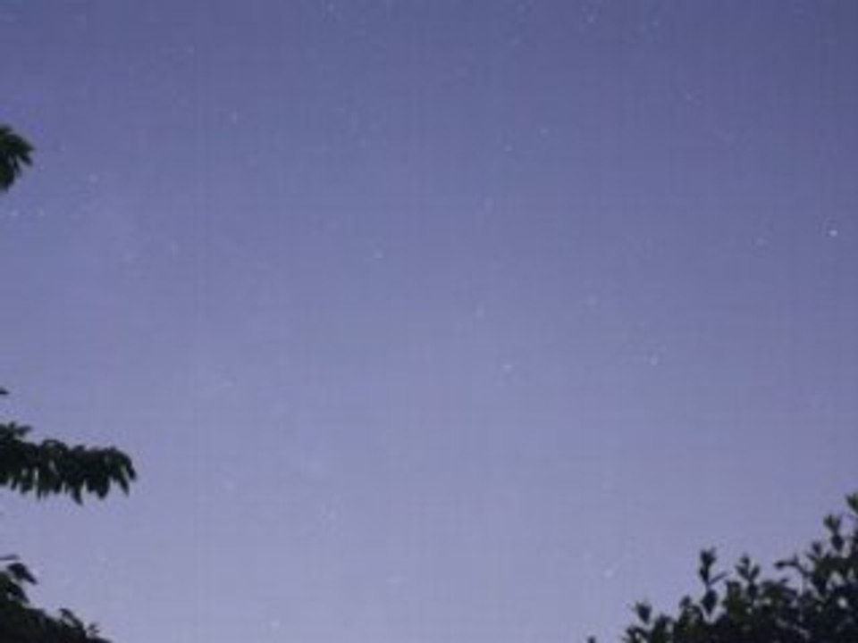 Jardin la nuit