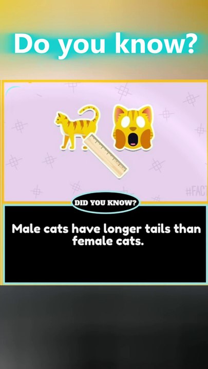 Did You Know Male Cats Have Longer Tails?