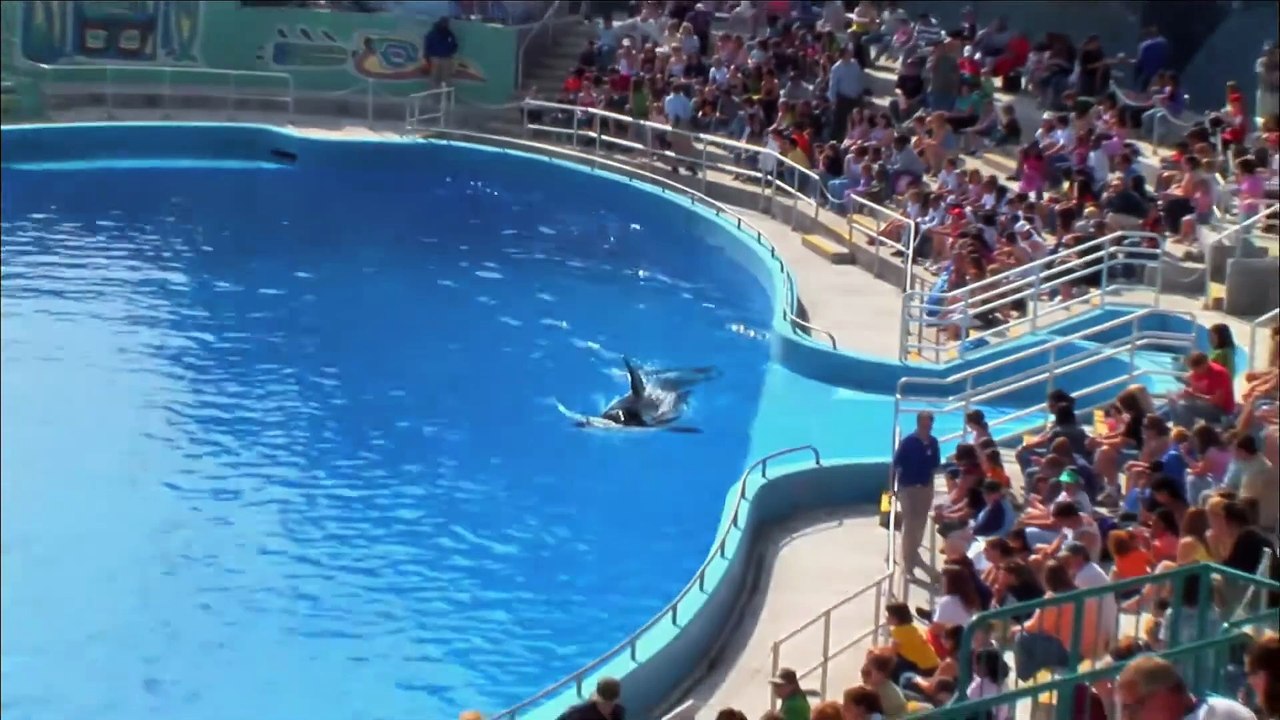 Saving Luna | movie | 2007 | Official Trailer