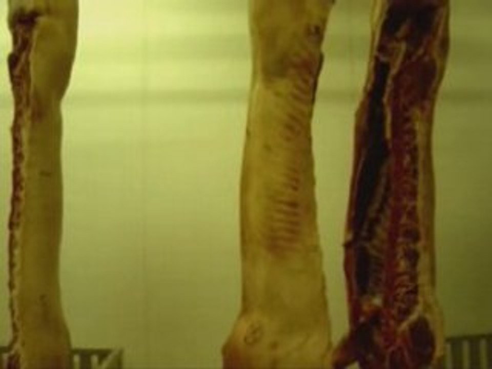 Gainsbourg Serge La décadanse video clip