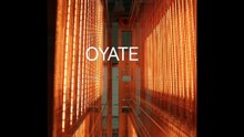 380mm 220v 1500w Shortwave Lamp Quartz Infrared Heat Tubes for T-shirt Dryers