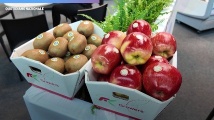 Competitività da tutelare: intervista a Domenico Sacchetto