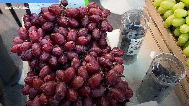 La ricetta per rilanciare l'agricoltura: intervista a Carlo Lingua