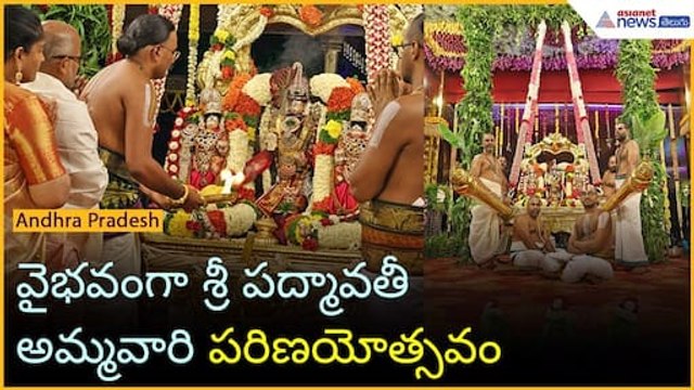 Tirumala: వైభవంగా శ్రీ పద్మావతీ అమ్మవారి పరిణయోత్సవం | TTD Updates | Asianet News Telugu