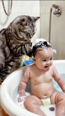 Friendly cats