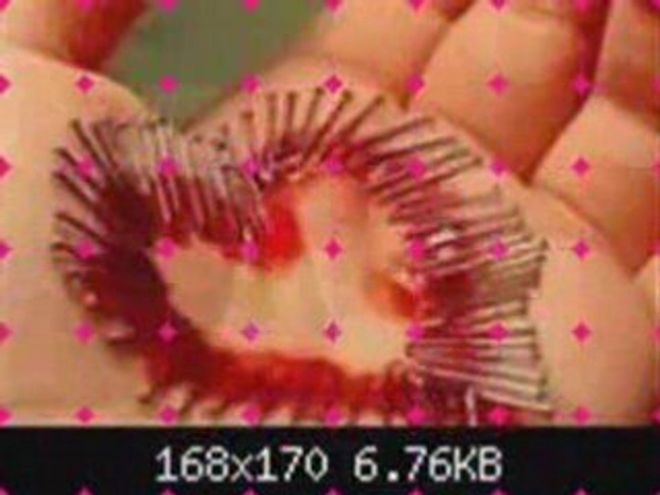 Za moeto beb4e s mnogo liubof (h)