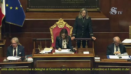 Stefani - Intervento in Senato (08.05.25)