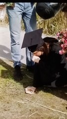 Baby Momma For Hire (2)