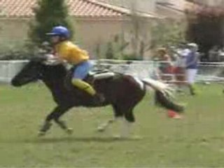 5 Drapeaux - 30/03/08 -  BENJAMIN ELITE