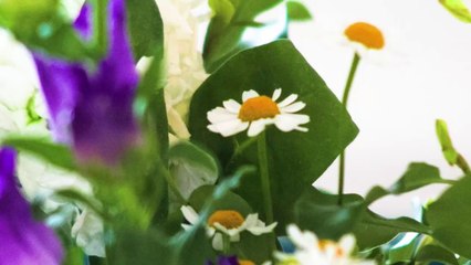 Abigail Hopkins - Stardust Charity CDs Pre-order