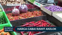 Pasokan Berlimpah, Harga Cabai Rawit Anjlok