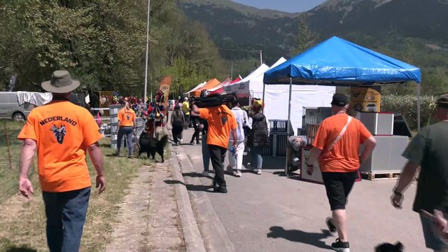 Παγκόσμιο Πρωτάθλημα Βελγικών Ποιμενικών στο Καρπενήσι