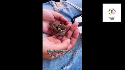 Mothersday special tribute