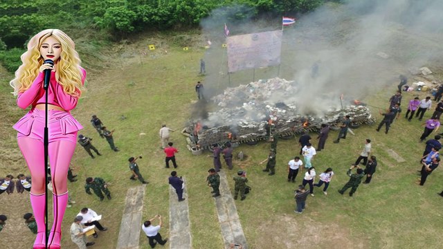 tiêu hủy 20 tấn cần sa sai cách, cả thị trấn bị say thuốc tập thể