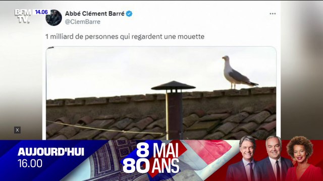 1 milliard de personnes regardent une mouette : Un volatile posé à côté de la cheminée du conclave amuse les internautes