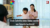 Erste Schritte eines Babys werden von Genetik bestimmt