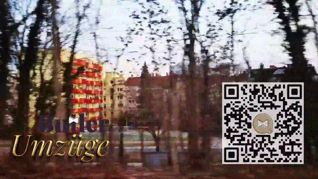 Butler Umzüge GmbH Logistiklösungen Ihr Partner für Erfolg Firmenumzug oder Firmenauflösung