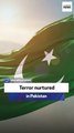 Ex-Indian naval officer: Terror nurtured in Pakistan