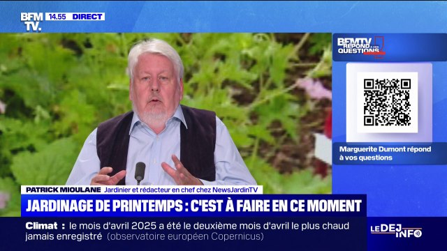 Jardinage de printemps: est-ce le moment de planter? BFMTV répond à vos questions