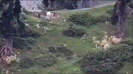 Indian Army hoists white flags as they pick up bodies of their dead soldiers on the Line of Control