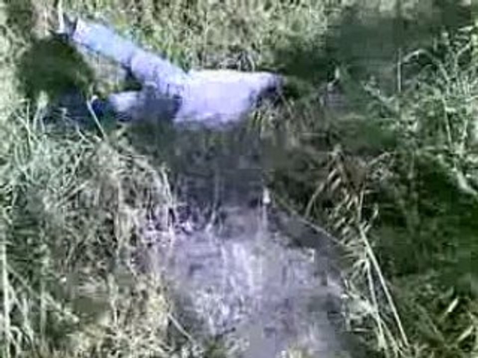 bob le saut de la mort