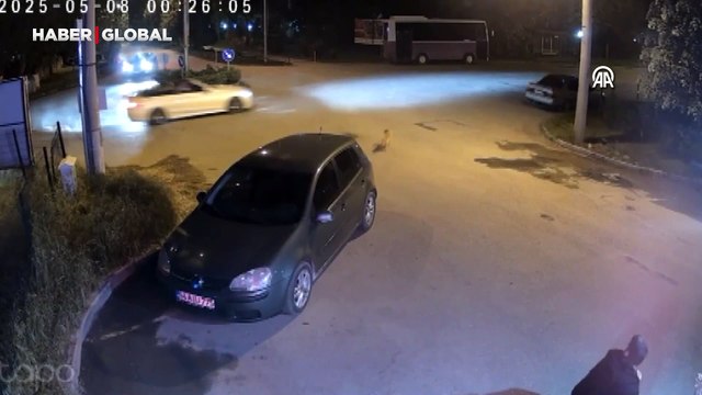 Konyaaltı sahilinde kıyı işgali denetimi gerginliğe dönüştü, bazı çalışanlar fenalaştı