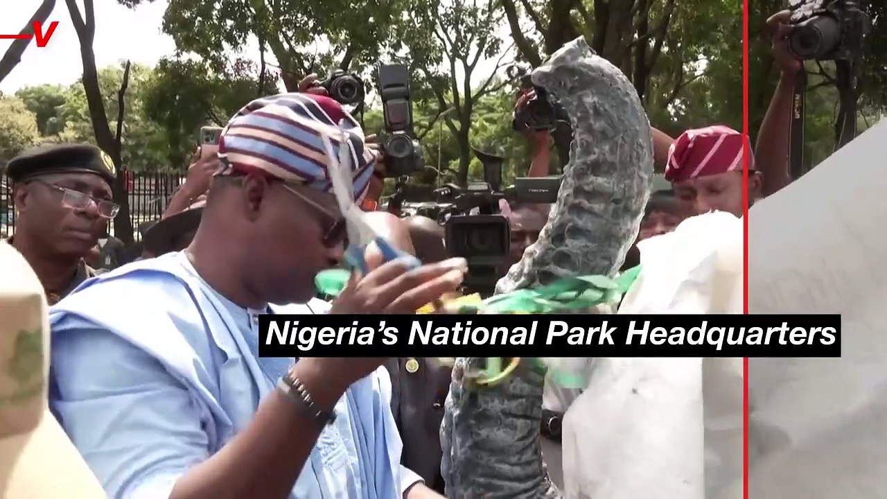 This is a Beautiful Sculpture Made From an Endangered Species! - video ...