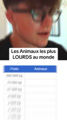 Les animaux les plus lourds au monde