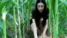 Advancement in Technology