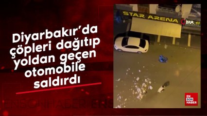 Diyarbakır'da çöpleri dağıtıp yoldan geçen otomobile saldırdı
