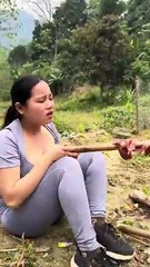 Kemping di hutan sambil masak masak