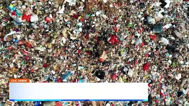 Contaminación plásticos