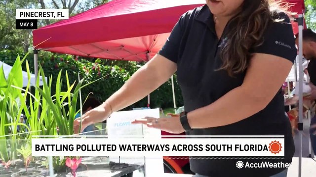 Battling polluted waterways across South Florida