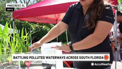 Battling polluted waterways across South Florida