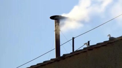 Loop fumata blanca 4.3