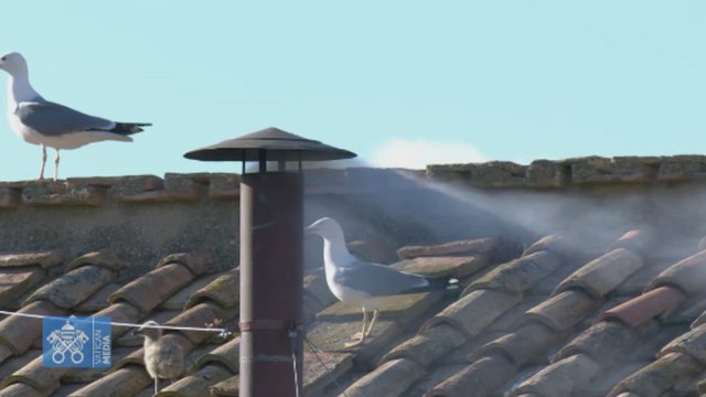 St. Peter's Square roars with excitement as new pope is officially revealed.