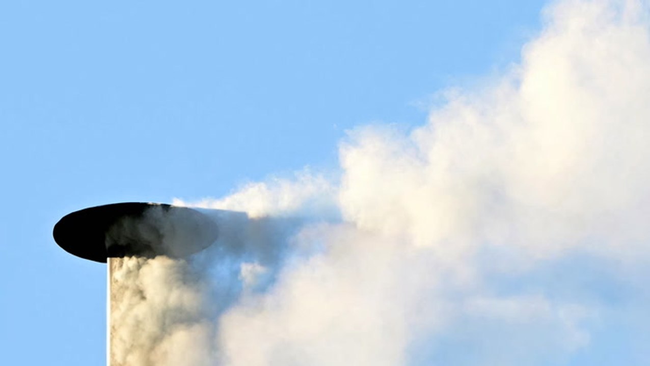 Video shows historic moment white smoke from Sistine Chapel confirms new pope