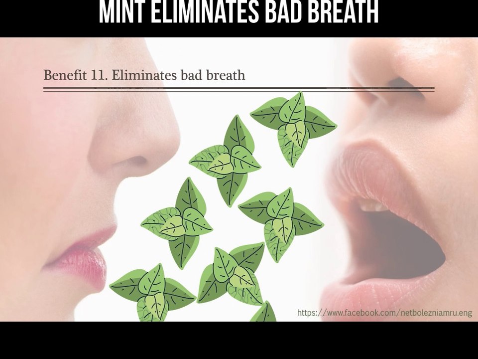 Mint eliminates bad breath