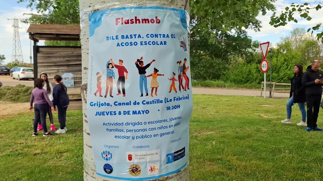 Flasmob de Pavia