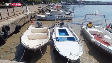 Erdek Körfezi kıyılarında müsilaj görüldü