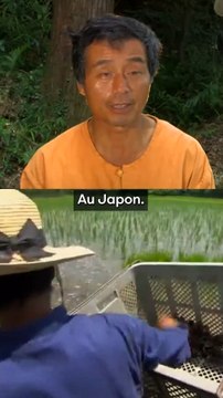 Ces canards vont ruiner les lobbies des pesticides !