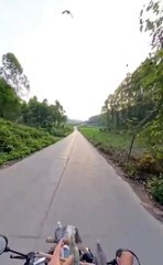 Il fait décoller ses oiseaux depuis sa moto... magnifique