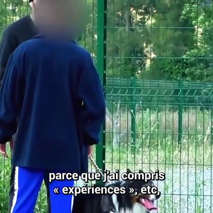 Cette expérience sociale va vous faire pleurer 😳