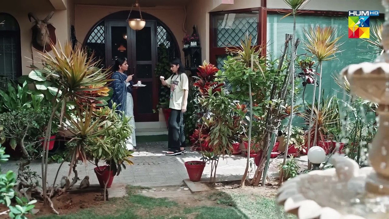 Judwaa - Episode 19 - 24th Feb 2025 [ Aina Asif & Adnan Raza Mir ] - HUM TV
