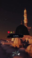 Daaman E Mustafa (S.A.W)🥰🥰