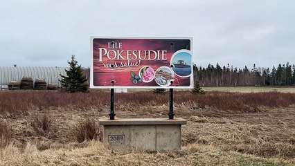 8 mai TOPO AD Moustiques étude