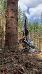 Aviation Industry Overview ✈️