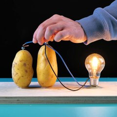 How to make a potato light bulb? 💡🥔